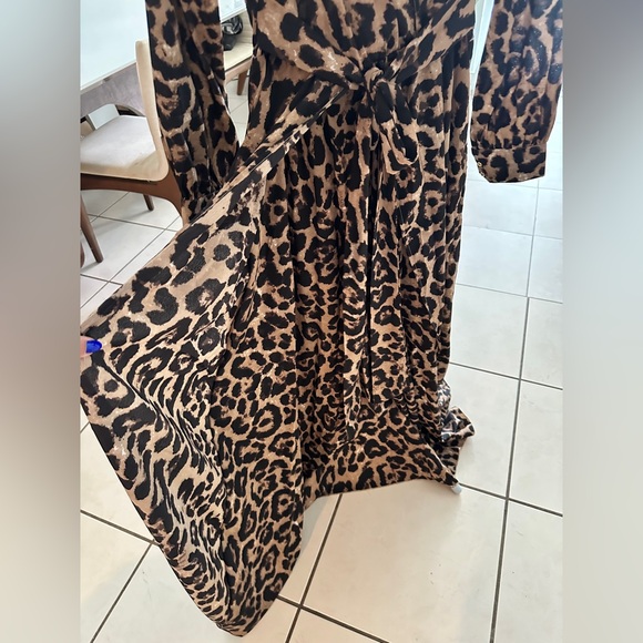 Leopard Print Maxi Dress - Picture 4 of 4